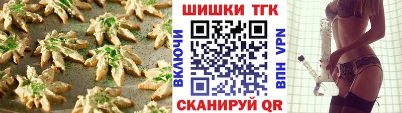 omg как войти  Новохопёрск  Cannafood марихуана 