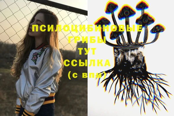стаф Верея