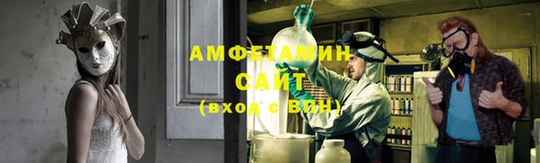 стаф Верея