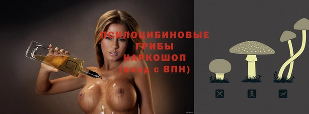трава Бородино