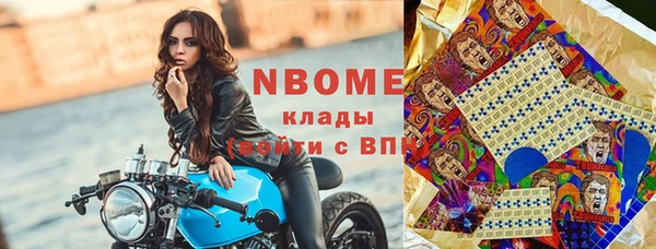 стаф Верея