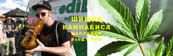 трава Бородино